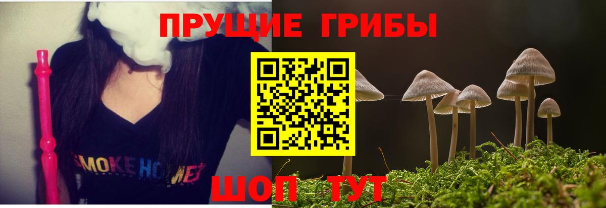 Якутск  Псилоцибиновые грибы прущие грибы  Вход с VPN 